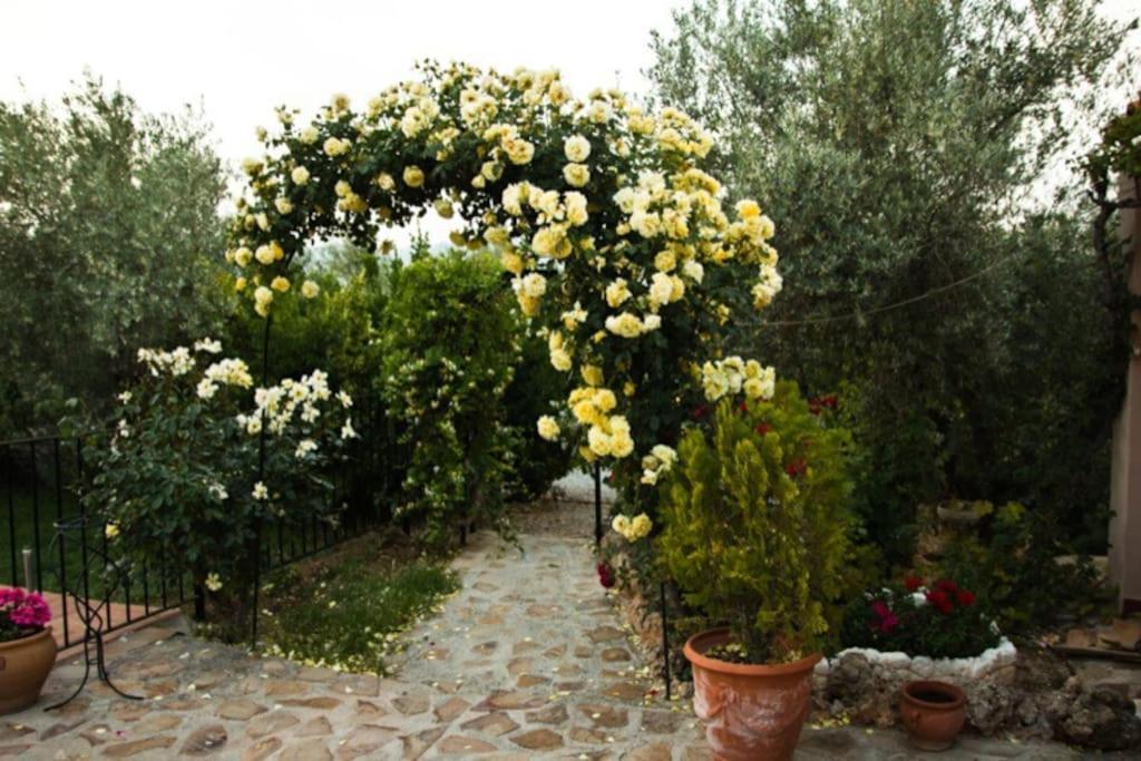 Cazorla-Alcon, Casa Hoya Don Gaspar Pozo Alcón Zewnętrze zdjęcie