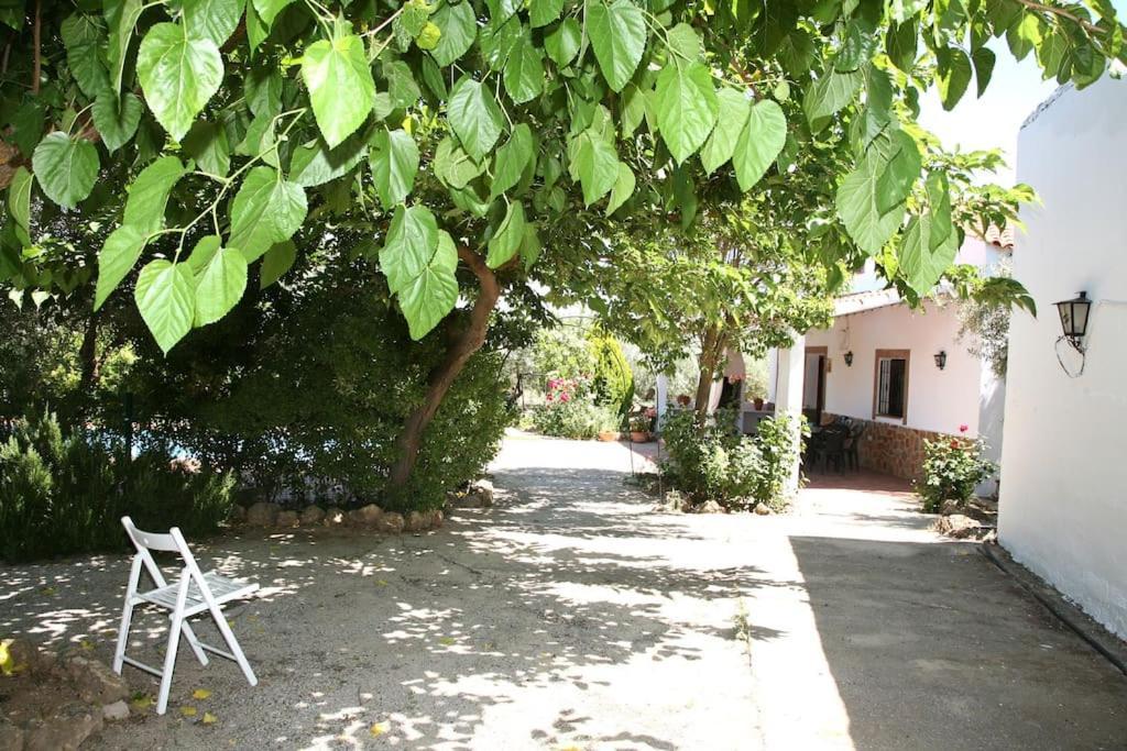 Cazorla-Alcon, Casa Hoya Don Gaspar Pozo Alcón Zewnętrze zdjęcie